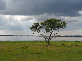 Halshuisene + Enebaerodde Beach (Denemarken)